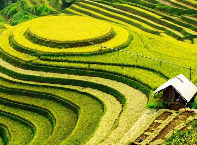 DESCUBRE ASIA «RAÍCES DE VIETNAM Y SAPA» CUPOS GARANTIZADOS 2025